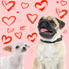 Two dogs together on color background with hearts