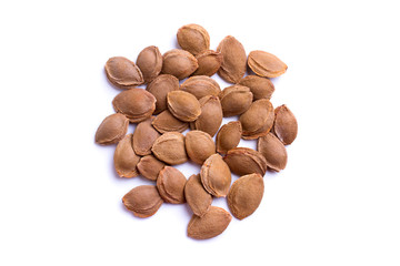 apricot pits - isolated