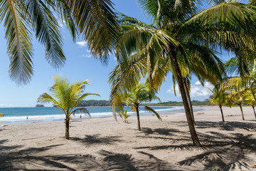 Naklejka na ściany i meble Beautiful blue sky day with a blue sea and empty sand. Playa Samara, Costa Rica, Central America.