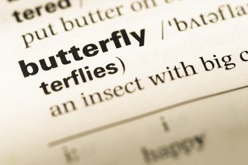Fototapeta premium Close up of old English dictionary page with word butterfly