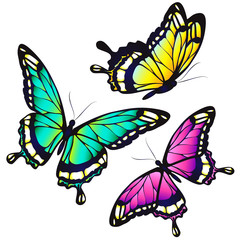 butterflies design