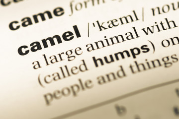 Close up of old English dictionary page with word camel