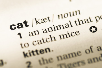 Close up of old English dictionary page with word cat