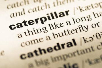 Fototapeta premium Close up of old English dictionary page with word caterpillar
