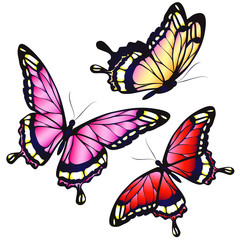 butterflies design