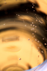 Fototapeta na wymiar extreme close-up of a glass of champagne.