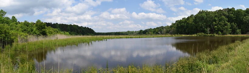 Naklejka premium Pond in Mississippi in May
