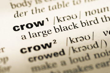 Obraz premium Close up of old English dictionary page with word crow