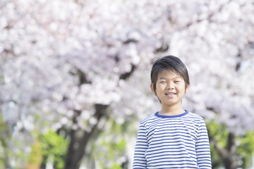 桜と新学期の男の子