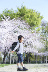 桜と新学期の男の子