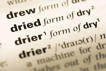 Obraz premium Close up of old English dictionary page with word dried