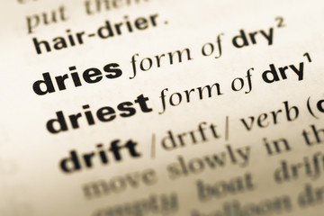 Fototapeta premium Close up of old English dictionary page with word dries