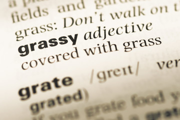 Close up of old English dictionary page with word grassy