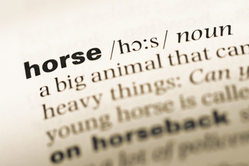 Close up of old English dictionary page with word horse