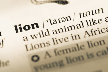 Close up of old English dictionary page with word lion