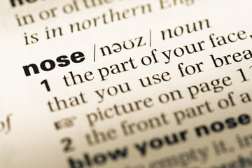 Close up of old English dictionary page with word nose