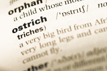 Close up of old English dictionary page with word ostrich