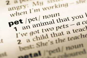 Fototapeta premium Close up of old English dictionary page with word pet