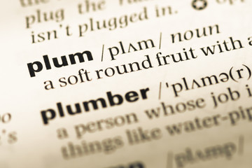 Close up of old English dictionary page with word plum