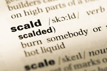 Fototapeta premium Close up of old English dictionary page with word scald