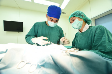 two veterinarian surgeons in operating room