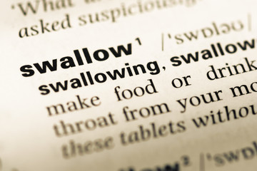 Close up of old English dictionary page with word swallow