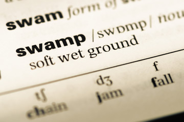 Close up of old English dictionary page with word swamp