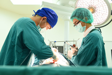 two veterinarian surgeons in operating room