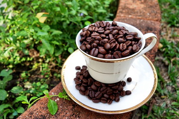 Cup full of coffee bean, outdoor