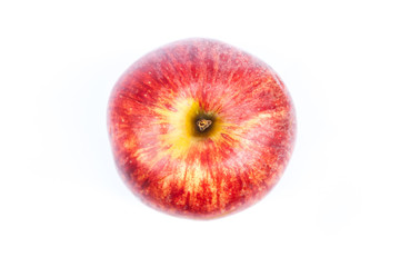 Red apple on white background