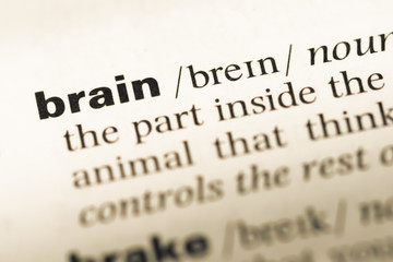 Obraz premium Close up of old English dictionary page with word brain