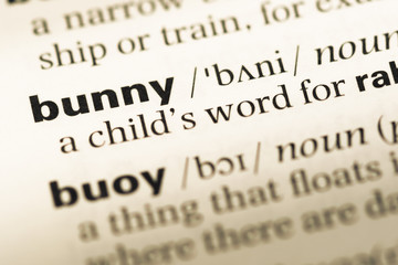 Obraz premium Close up of old English dictionary page with word bunny