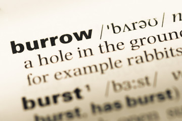 Close up of old English dictionary page with word burrow