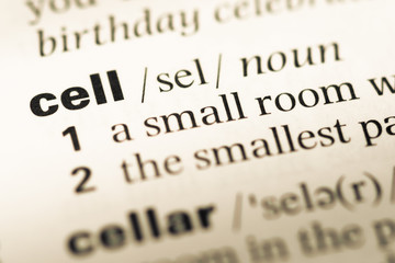 Fototapeta premium Close up of old English dictionary page with word cell