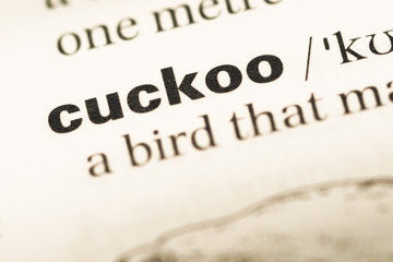 Close up of old English dictionary page with word cuckoo