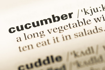 Close up of old English dictionary page with word cucumber
