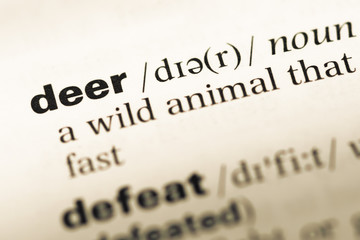 Fototapeta premium Close up of old English dictionary page with word deer