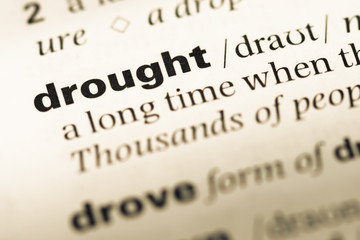 Obraz premium Close up of old English dictionary page with word drought