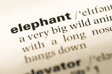 Close up of old English dictionary page with word elephant