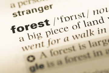 Close up of old English dictionary page with word forest