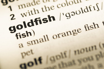 Close up of old English dictionary page with word goldfish