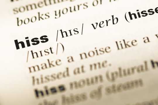 Close up of old English dictionary page with word hiss