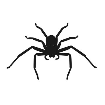 Spider Icon Vector