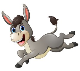 Cute donkey cartoon running