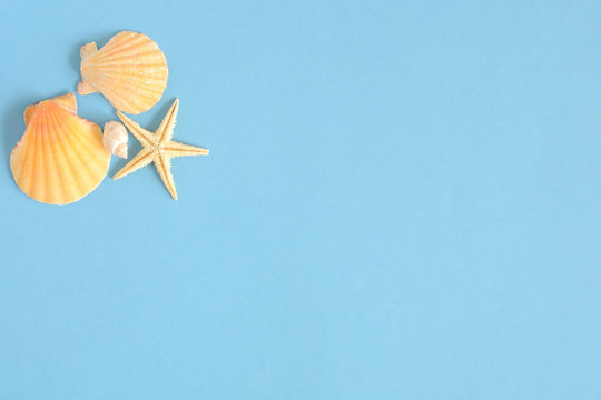 夏イメージ　貝殻とヒトデ　水色背景

