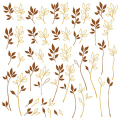 植物のイラスト