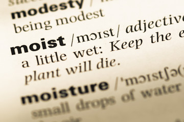 Close up of old English dictionary page with word moist