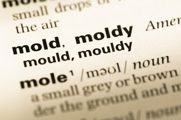 Obraz premium Close up of old English dictionary page with word mold moldy