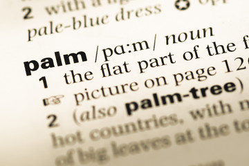 Fototapeta premium Close up of old English dictionary page with word palm