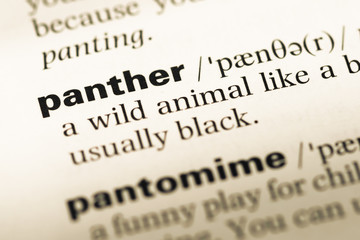 Close up of old English dictionary page with word panther